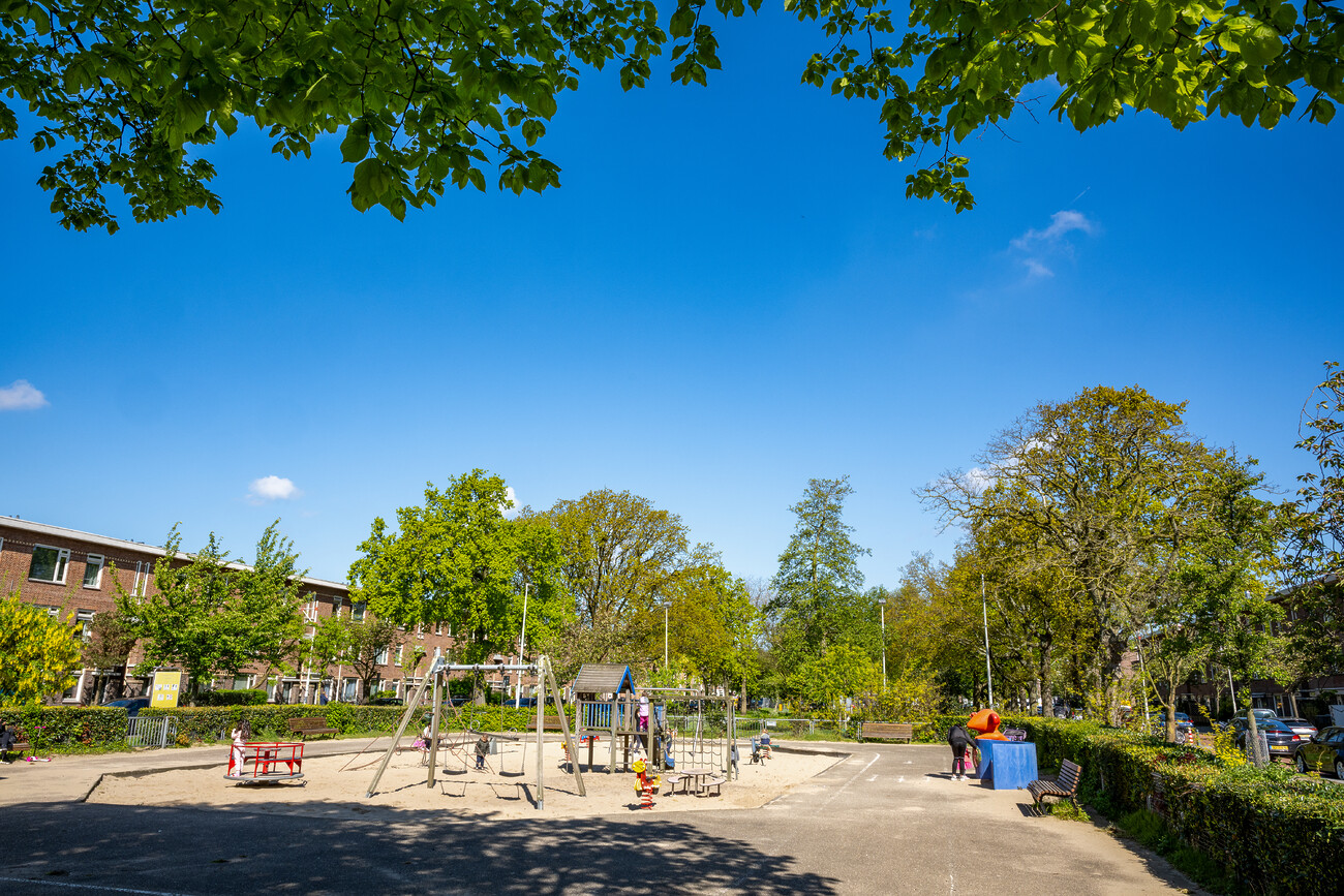 Speeltuin met zandbak, schommels en klimrek, omringd door bomen en woningen. Met een helderblauwe lucht op de achtergrond.