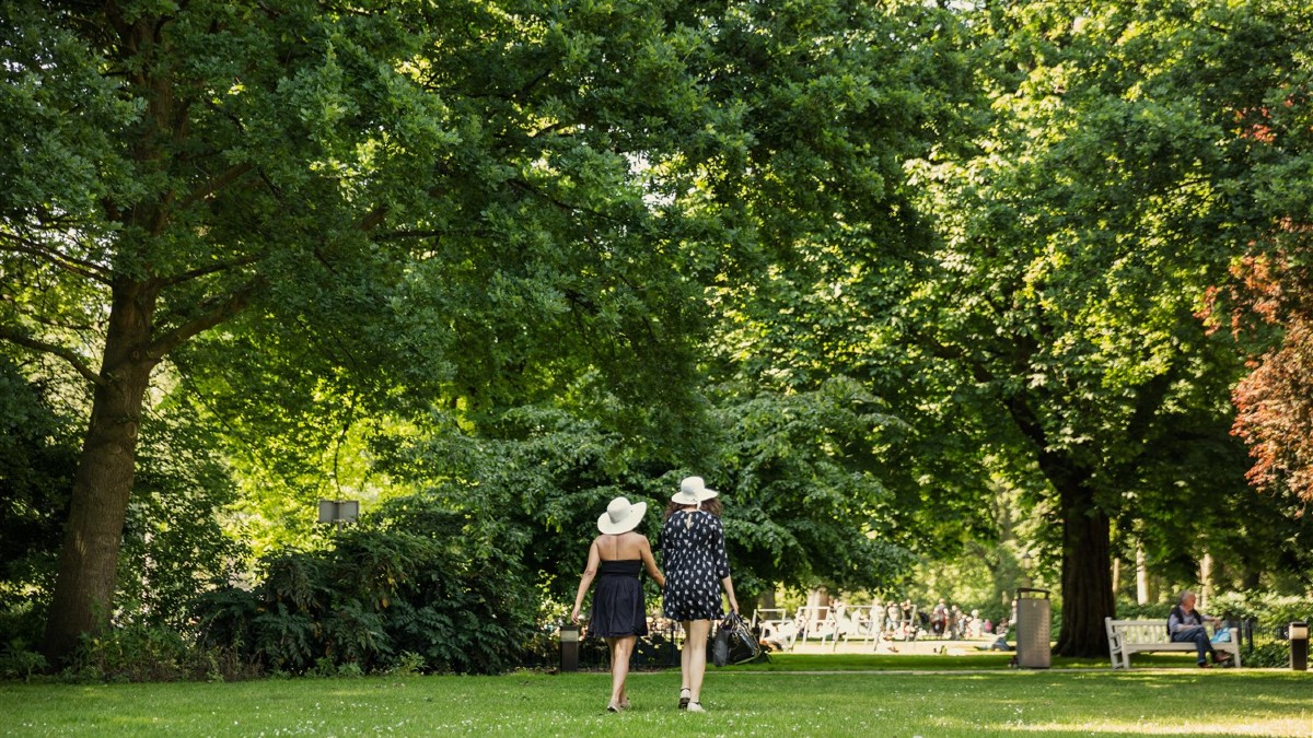 Een zonnige dag in de Paleistuin in Den Haag. Twee mensen met hoeden lopen hand in hand over het gras, omringd door grote, groene bomen. In de verte zitten mensen op banken en genieten van de rustige sfeer.