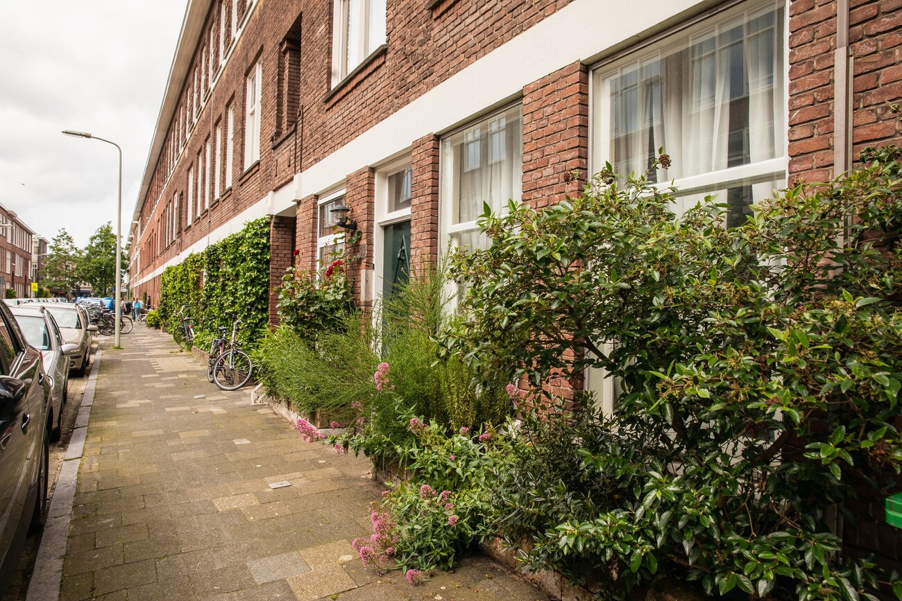 Afbeelding van woningen aan de Elsstraat in Segbroek. Met groen voor de deur en een stoep waar auto's langs staan.