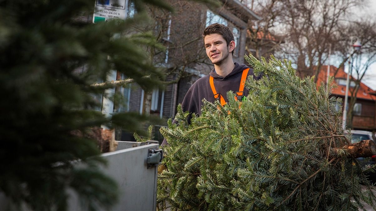 Vuilnisman draagt kerstboomweg.