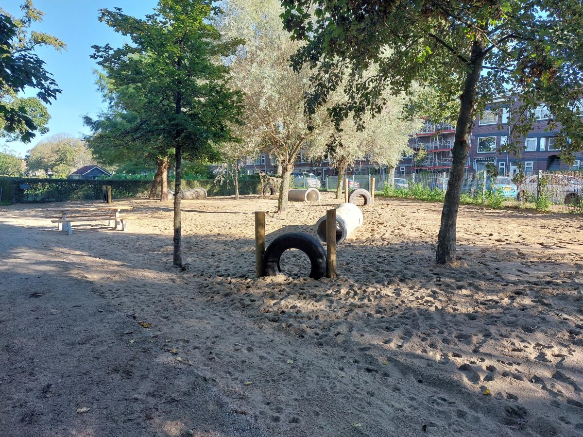 Foto van hondenlosloopgebied met zand, autobanden en bomen