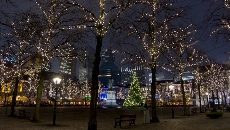 Lights in trees on Plein