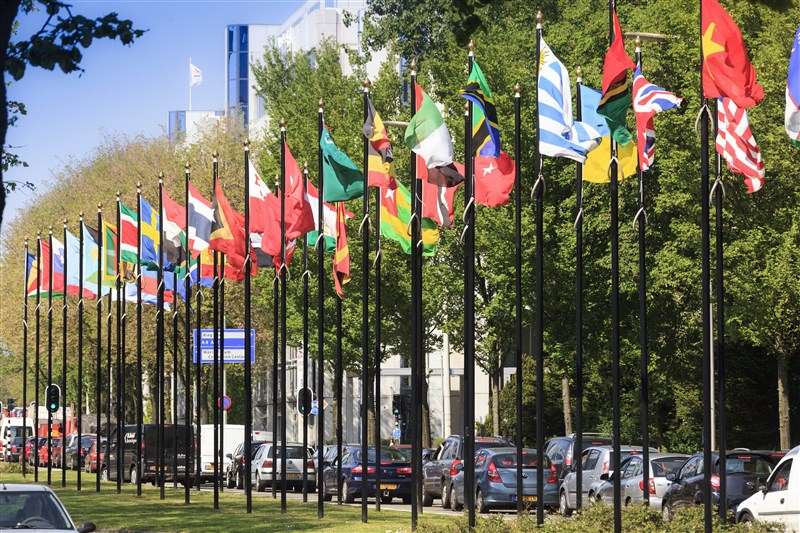 Flags in International Zone