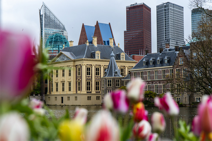 Spring Hofvijver