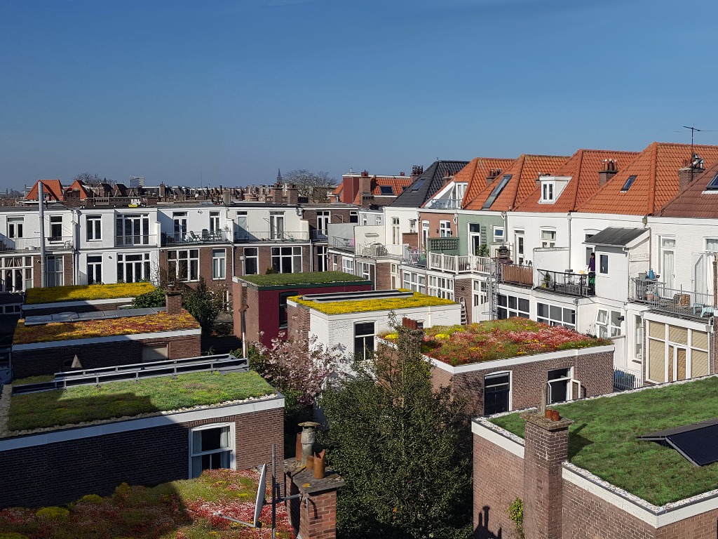 Koningsplein Gemeente geeft subsidie aan Haagse inwoners die samen een mini-warmtenet willen realiseren.